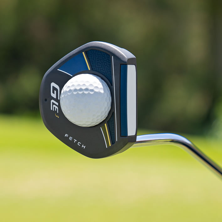 thumbnail of G Le3 Fetch showing ball pick-up feature