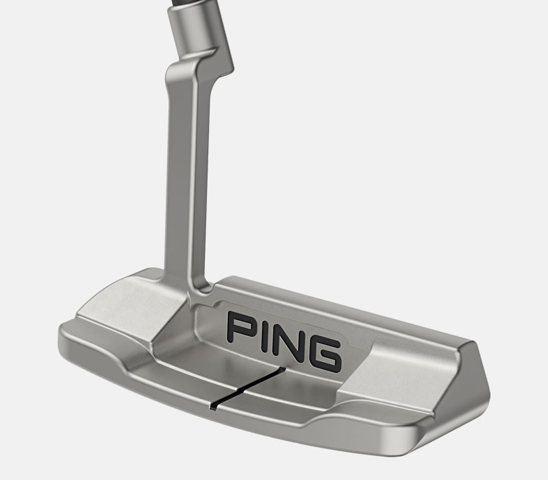 Cavity view of 2024 Anser D putter