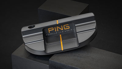 Customized PLD Milled Plus Anser