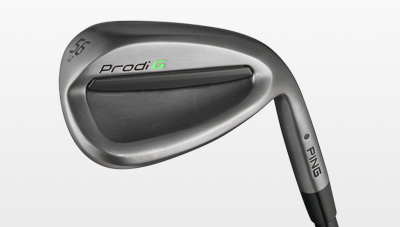 cavity view of Prodi G wedge