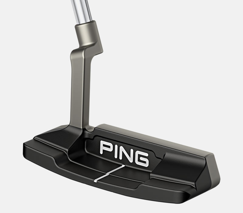 Cavity view of Scottsdale Anser 2D putter