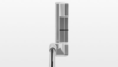 Vault Platinum Anser Address View