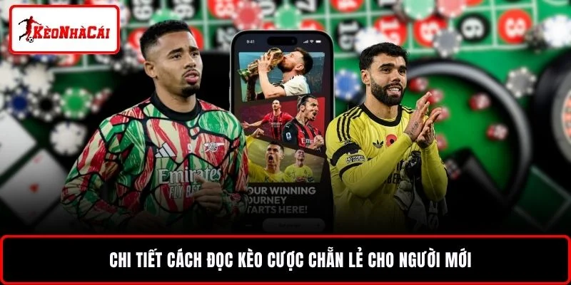 Chi tiết cách đọc kèo cược chẵn lẻ cho người mới