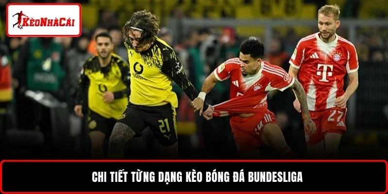 Chi tiết từng dạng kèo bóng đá Bundesliga