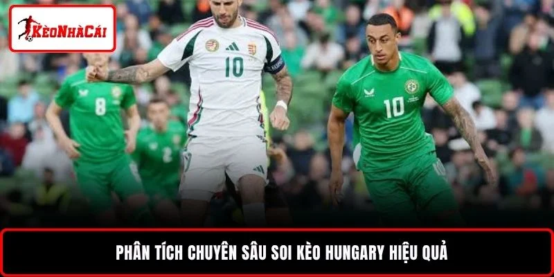 Phân tích chuyên sâu soi kèo Hungary hiệu quả