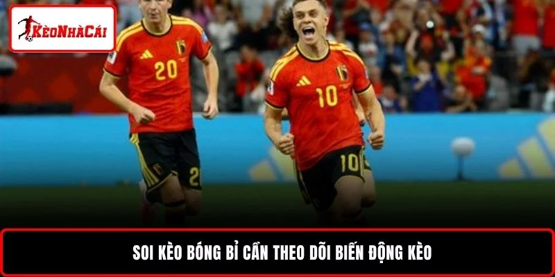 Soi kèo bóng Bỉ cần theo dõi biến động kèo