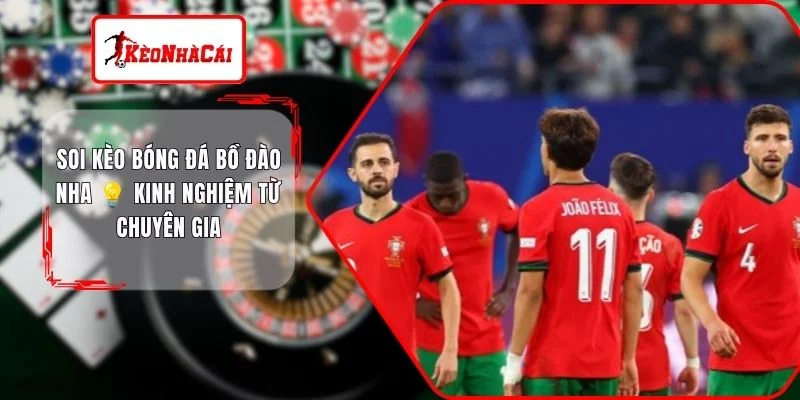 Soi Kèo Bóng Đá Bồ Đào Nha