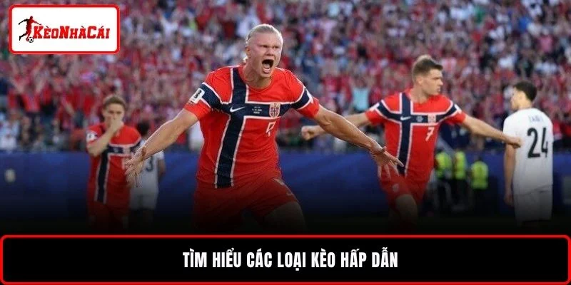 Tìm hiểu các loại kèo hấp dẫn