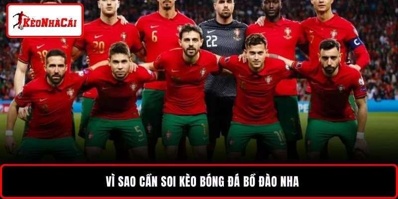Vì sao cần soi kèo bóng đá Bồ Đào Nha