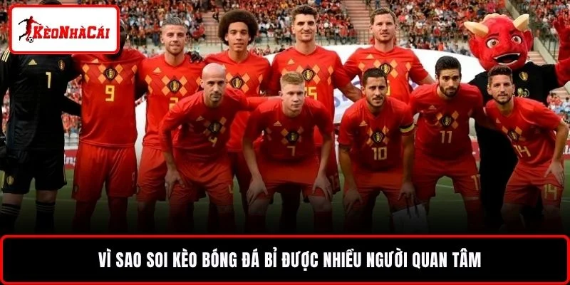 Vì sao soi kèo bóng đá Bỉ được nhiều người quan tâm